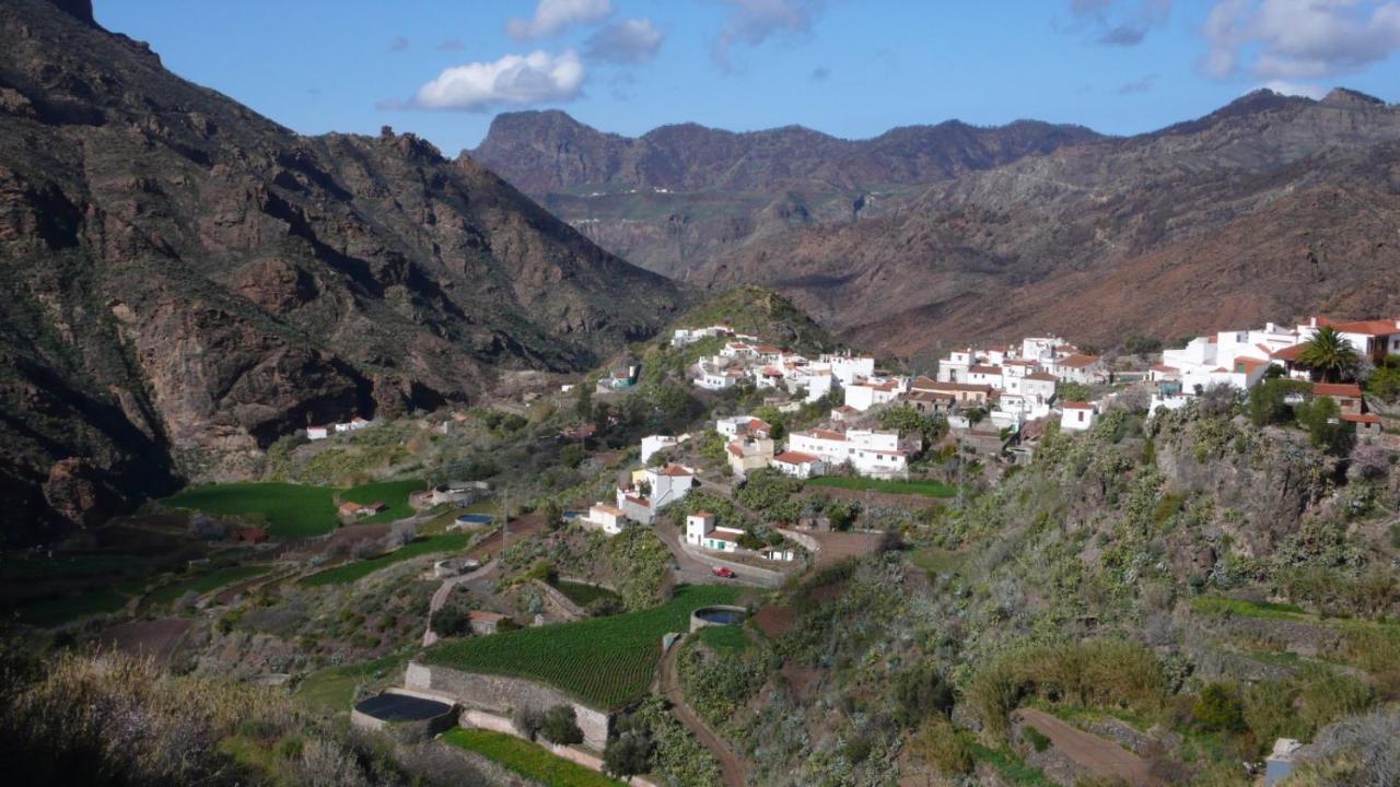 Ecoartejeda Cave House旅馆 外观 照片